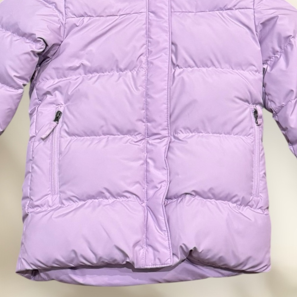 The North Face North Down Fleece Lined Parka - Picture 4 of 16